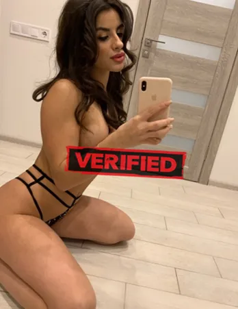 Evelyn cunnilingus Prostitute Timbauba
