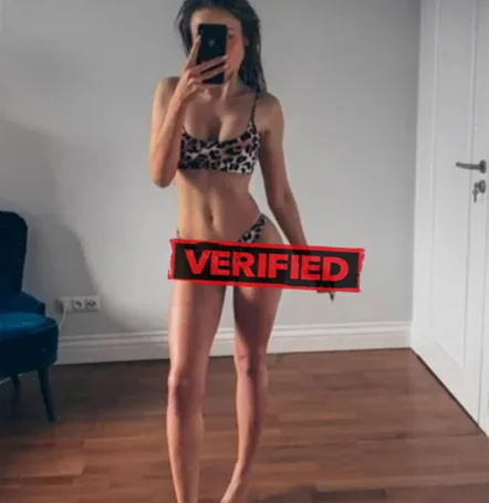 Vanessa sexmachine Prostituta Santo André